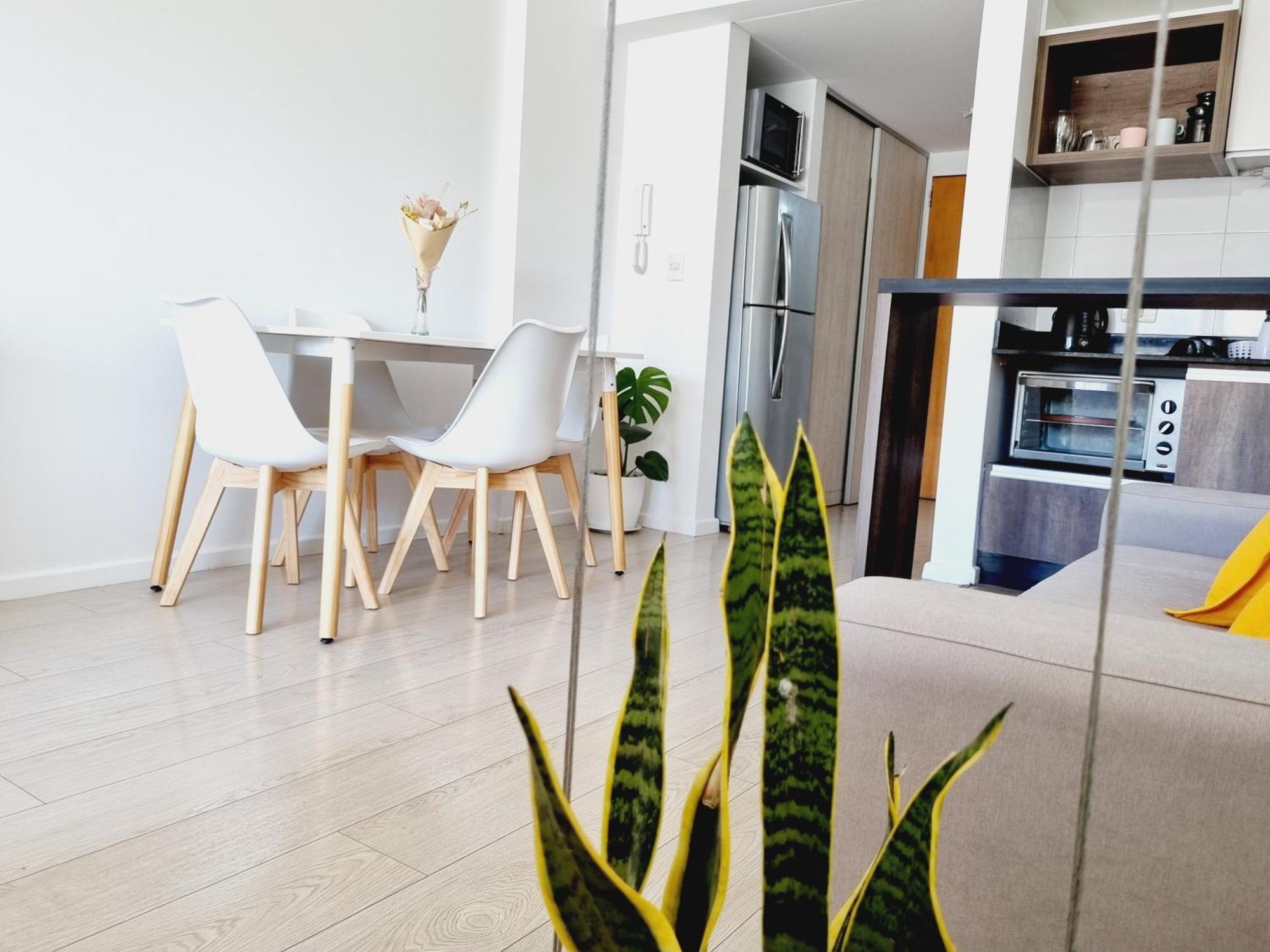 Palermo Green Oasis Studio بوينس آيرس المظهر الخارجي الصورة