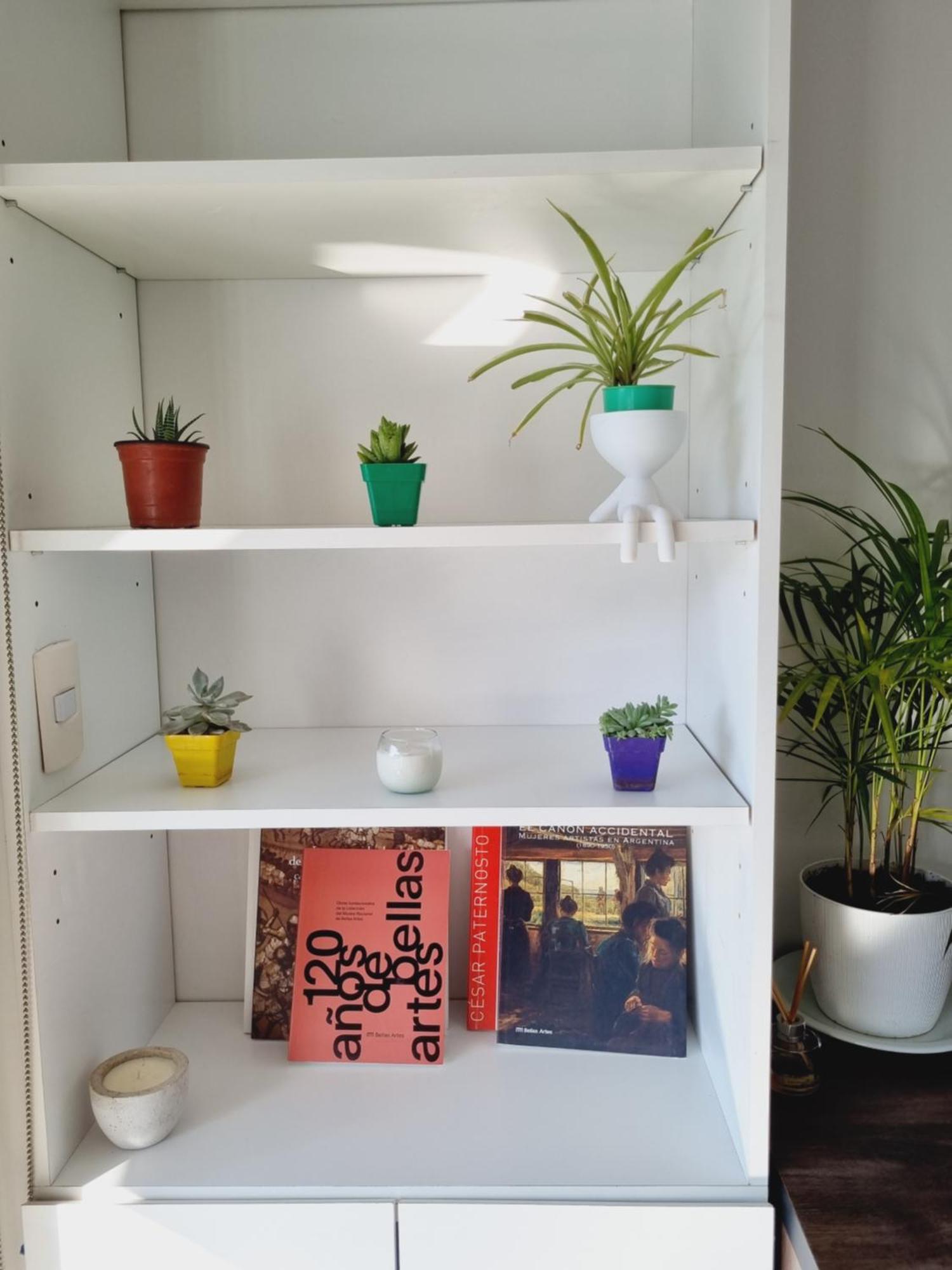 Palermo Green Oasis Studio بوينس آيرس المظهر الخارجي الصورة